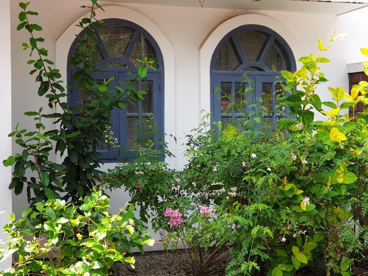 गेस्ट हाउस Magnolia